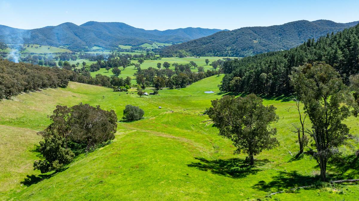 2769 Yabba Road, Tallandoon For Sale by Farmbuy.com - image 17