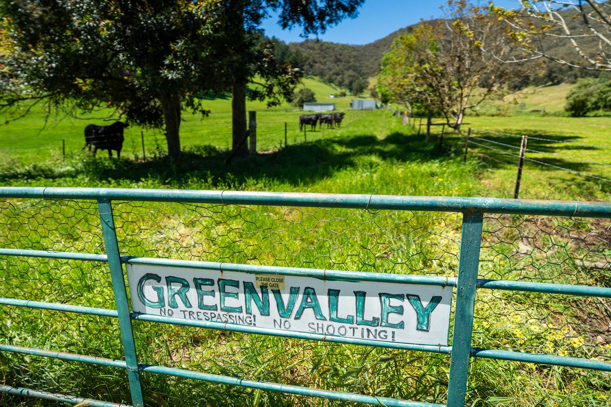 2769 Yabba Road, Tallandoon For Sale by Farmbuy.com - image 3