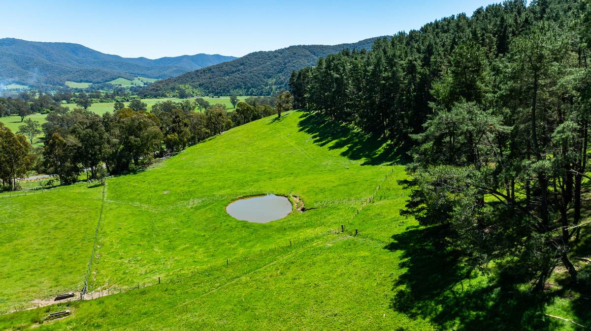 2769 Yabba Road, Tallandoon For Sale by Farmbuy.com - image 8