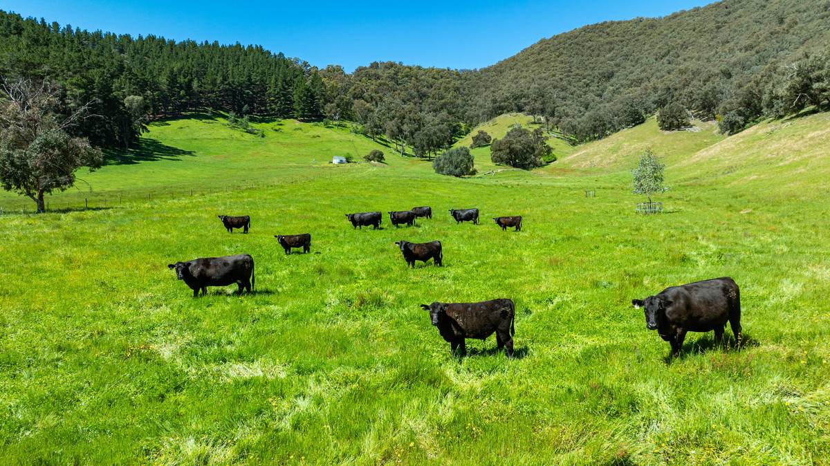 2769 Yabba Road, Tallandoon For Sale by Farmbuy.com - image 1
