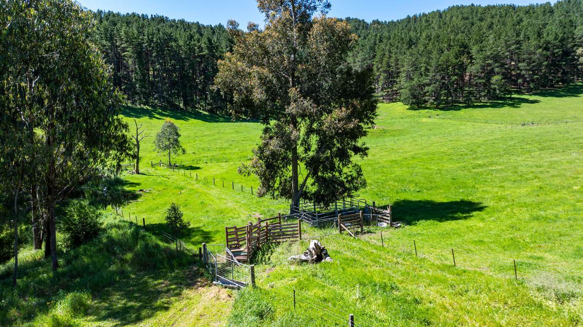 2769 Yabba Road, Tallandoon For Sale by Farmbuy.com - image 14