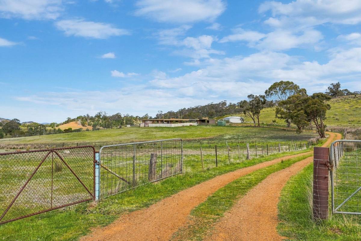 185 Native Corners Road, Campania For Sale by Farmbuy.com - image 32