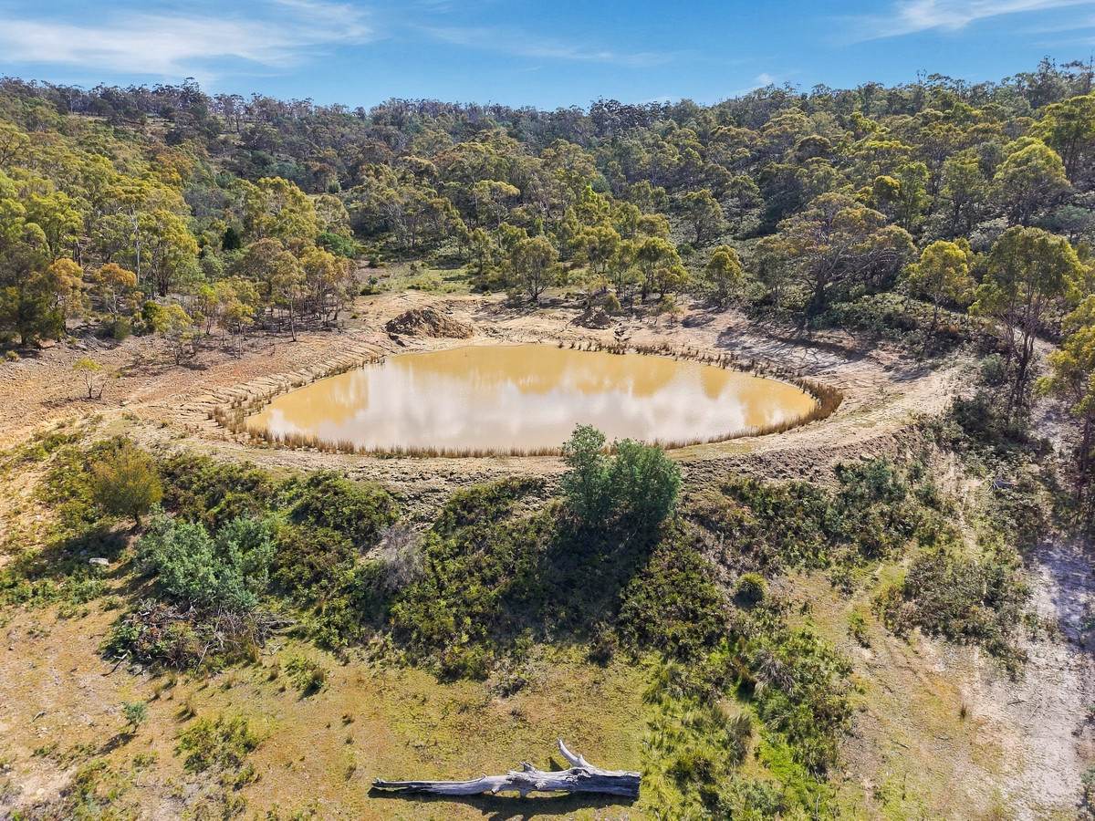 185 Native Corners Road, Campania For Sale by Farmbuy.com - image 8