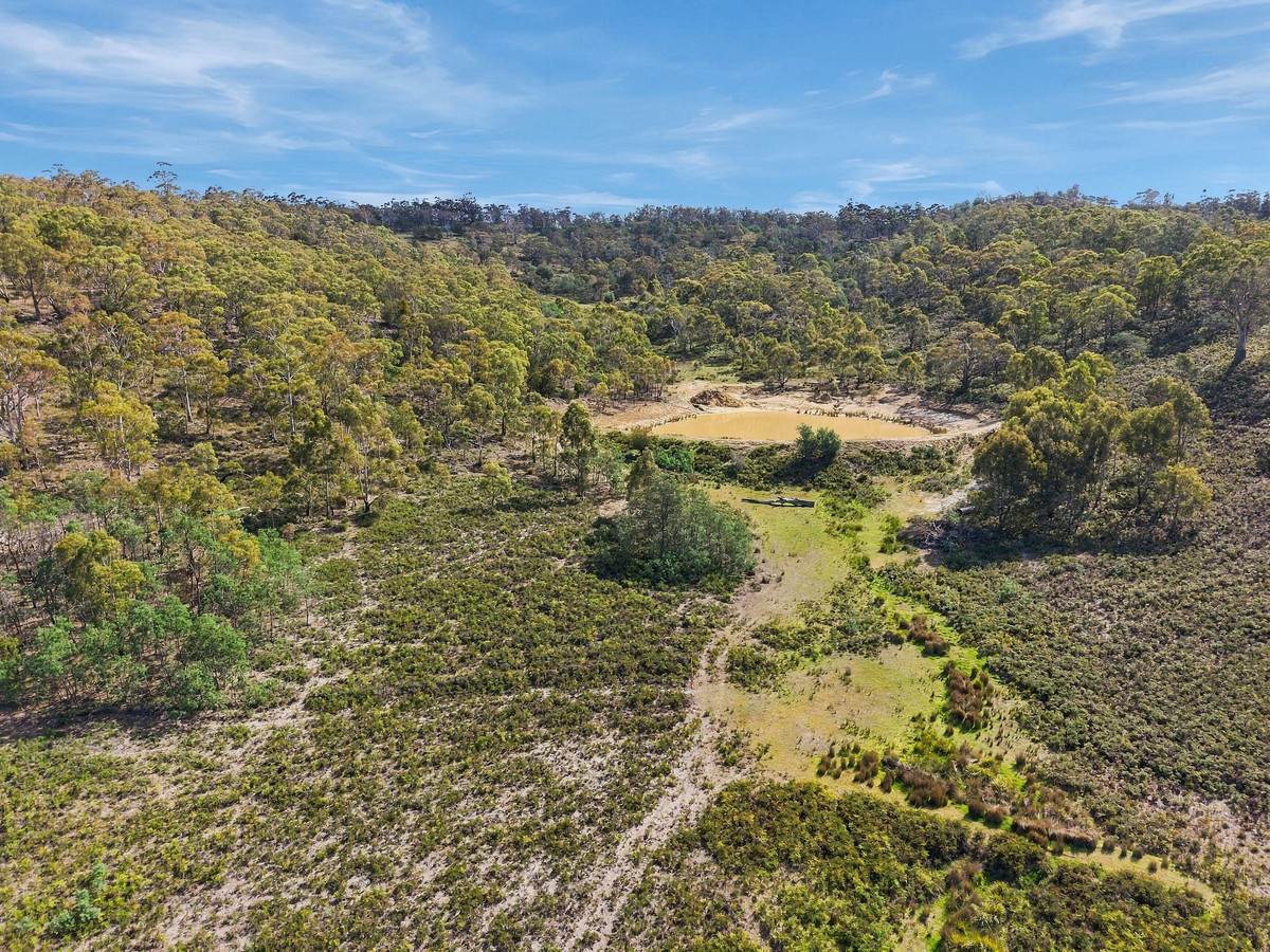 185 Native Corners Road, Campania For Sale by Farmbuy.com - image 7
