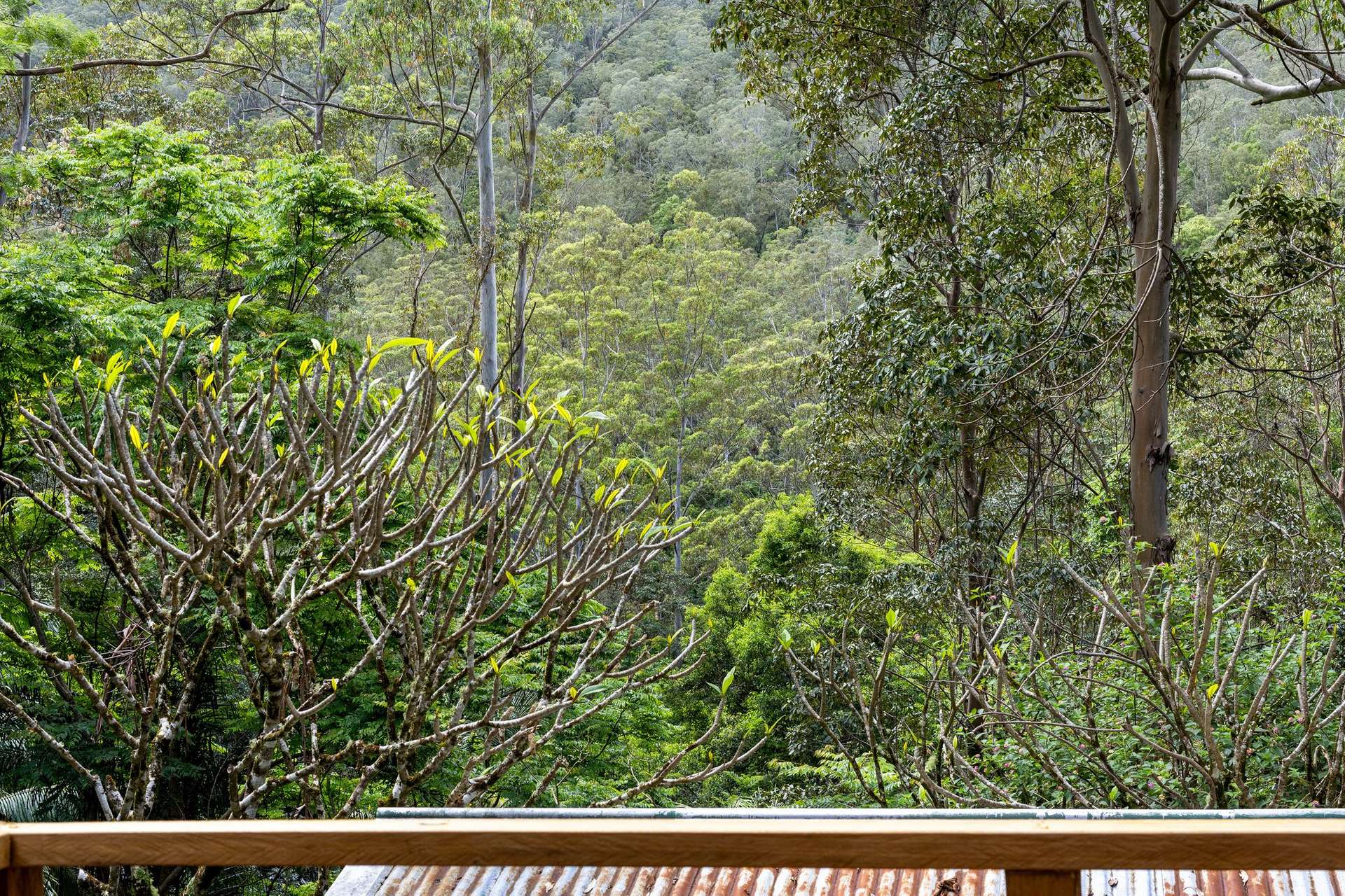 362 Boundary Creek Road, Bentley For Sale by Farmbuy.com - image 17