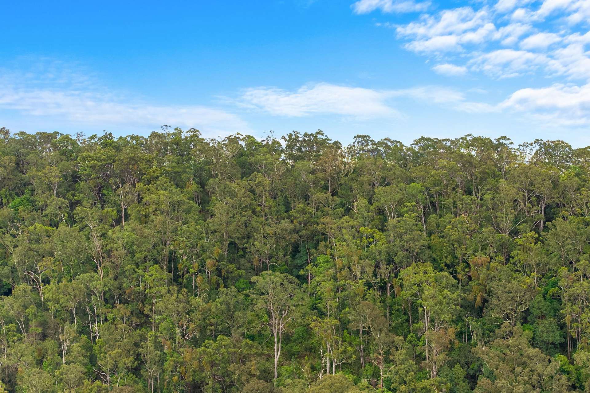 362 Boundary Creek Road, Bentley For Sale by Farmbuy.com - image 28