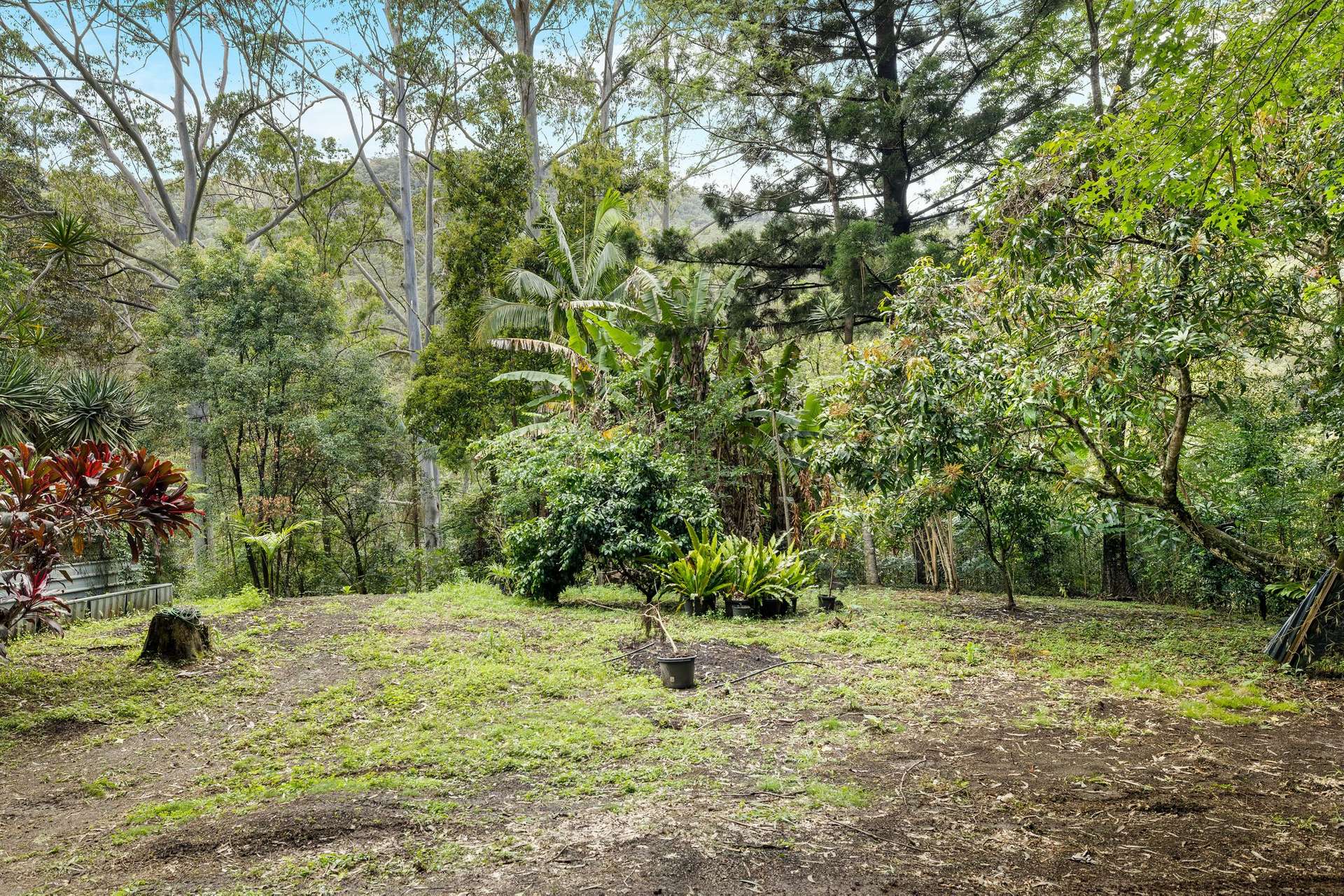362 Boundary Creek Road, Bentley For Sale by Farmbuy.com - image 20