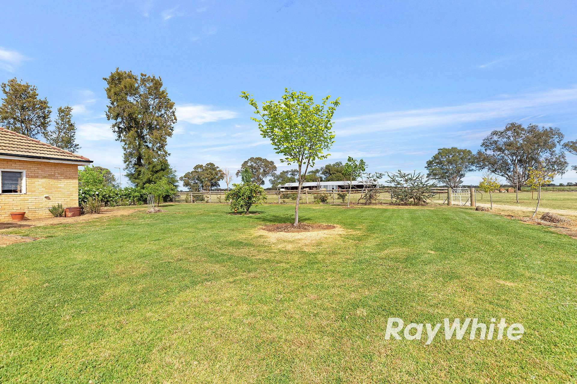 1501 Boort-Yando Road, Yando For Sale by Farmbuy.com - image 29