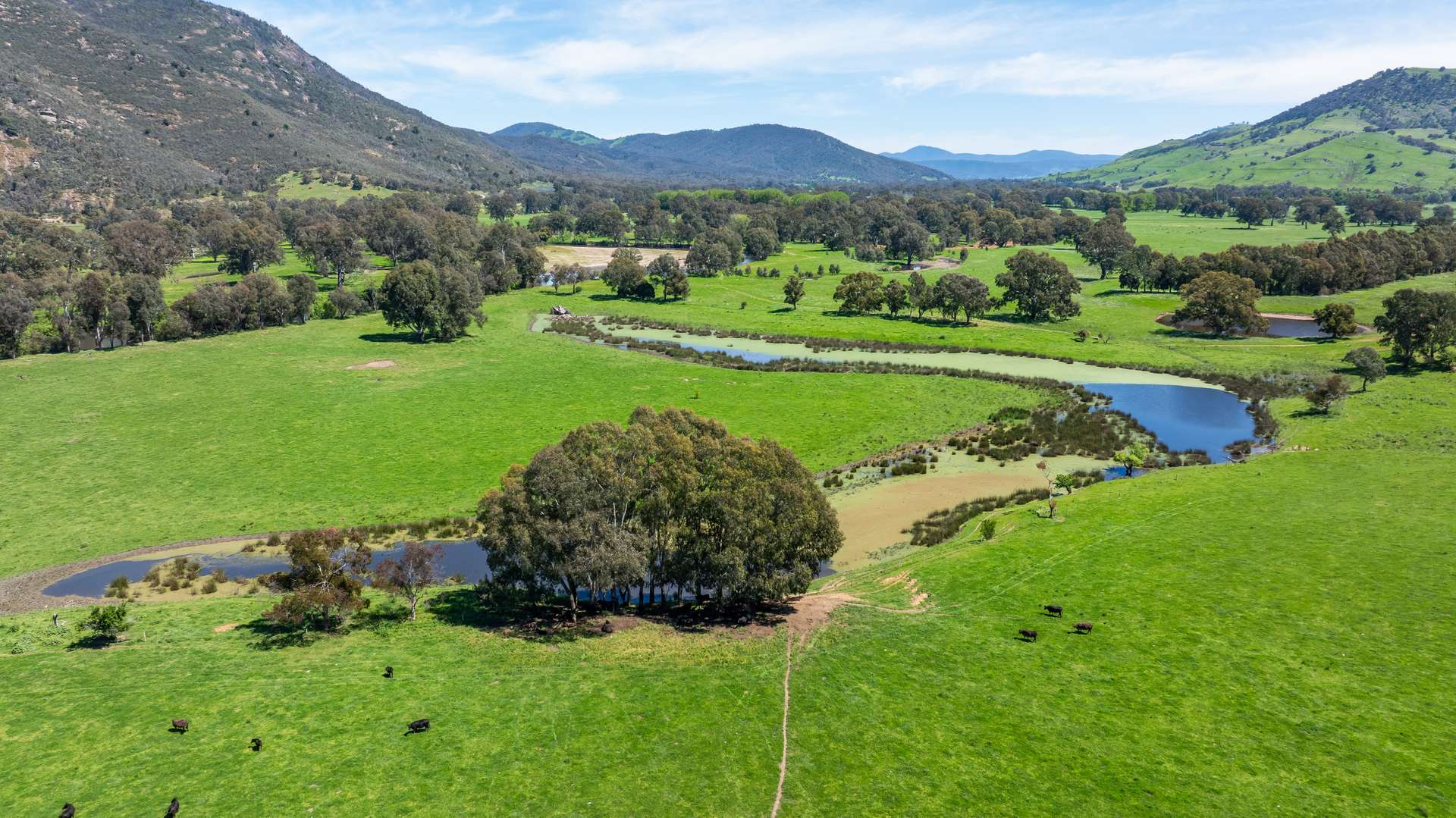 1159 River Road, Ournie Auction by Farmbuy.com - image 7
