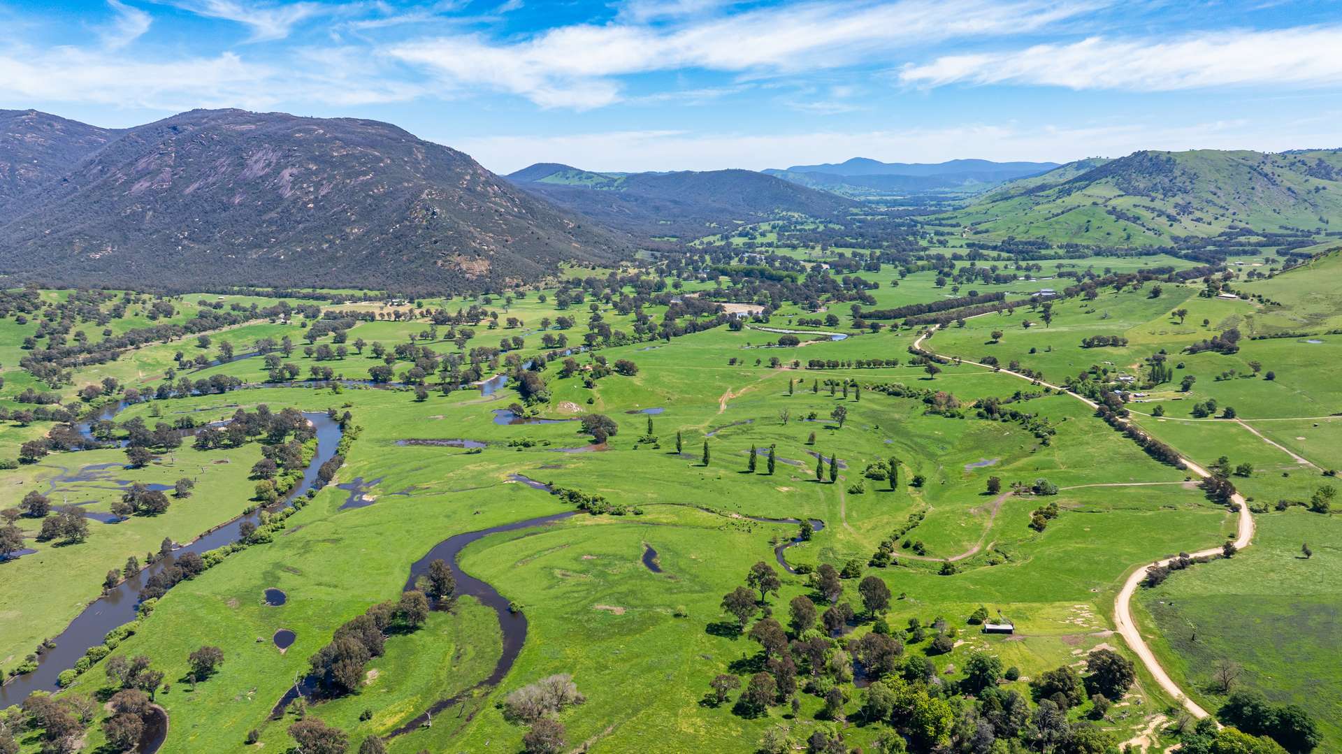 1159 River Road, Ournie Auction by Farmbuy.com - image 13