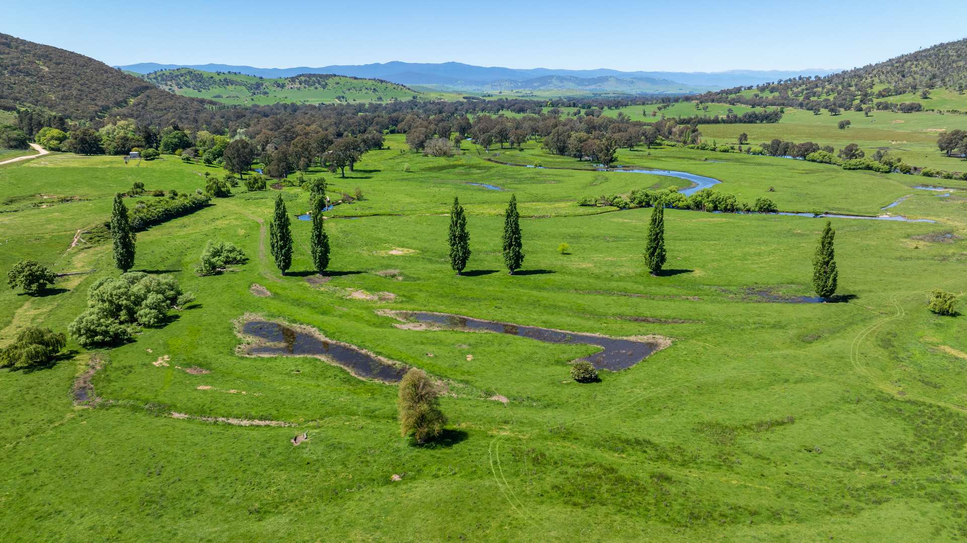 1159 River Road, Ournie Auction by Farmbuy.com - image 5