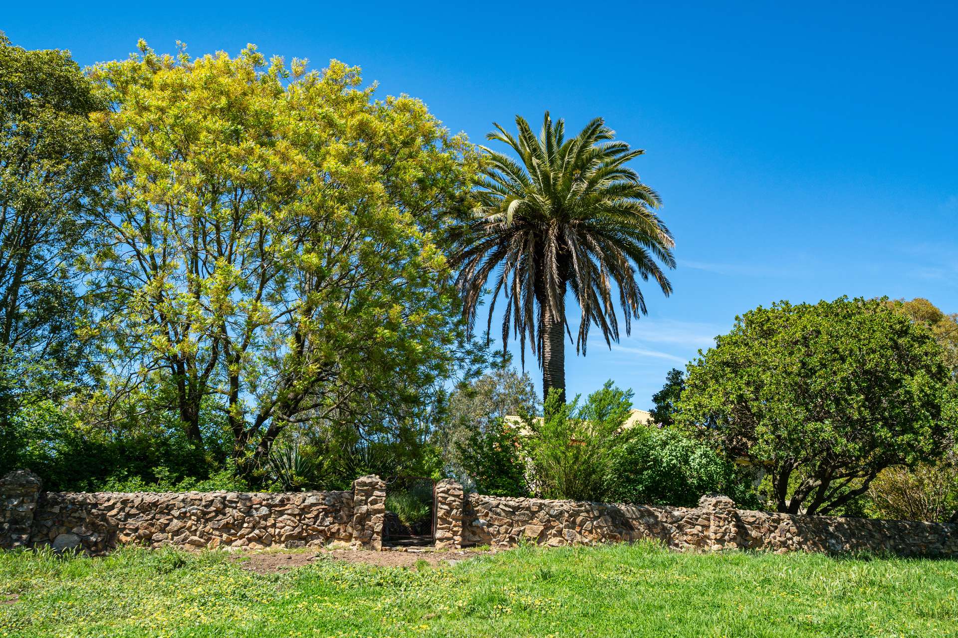 1159 River Road, Ournie Auction by Farmbuy.com - image 28