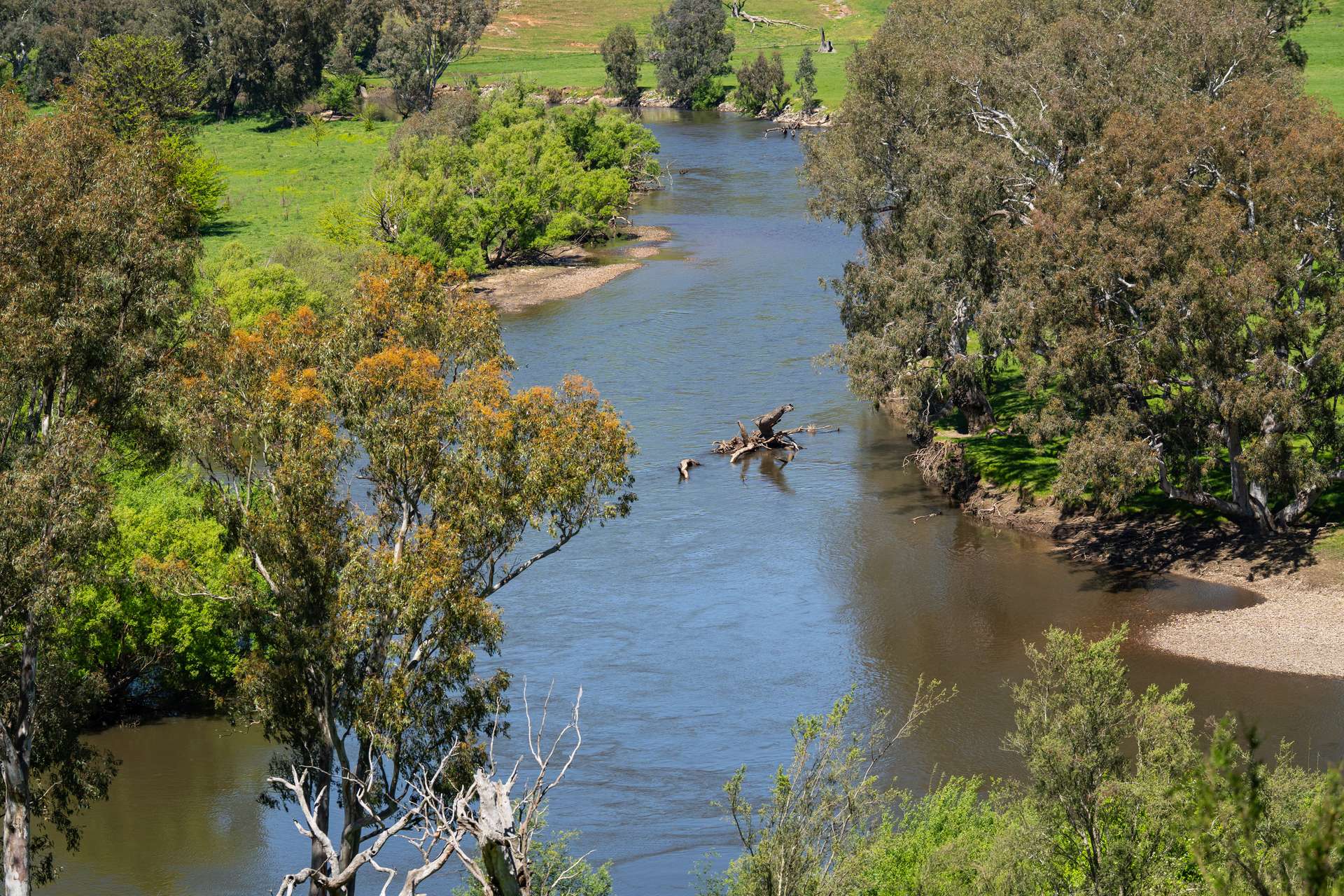 1159 River Road, Ournie Auction by Farmbuy.com - image 3