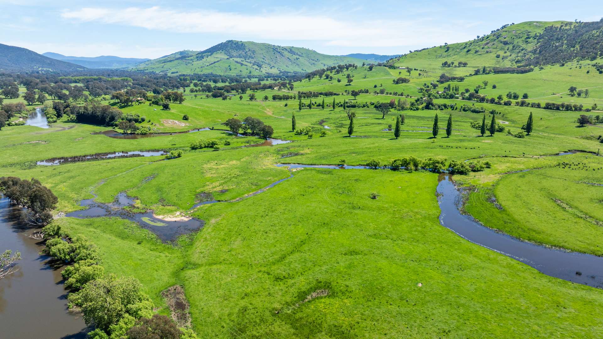 1159 River Road, Ournie Auction by Farmbuy.com - image 14