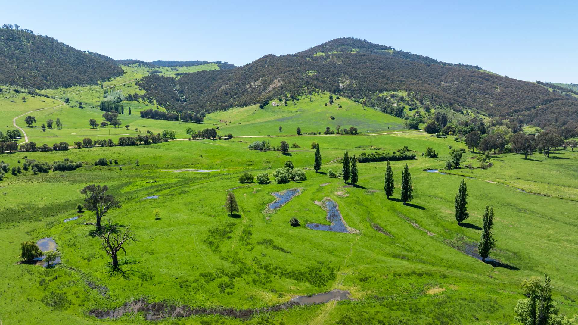 1159 River Road, Ournie Auction by Farmbuy.com - image 33