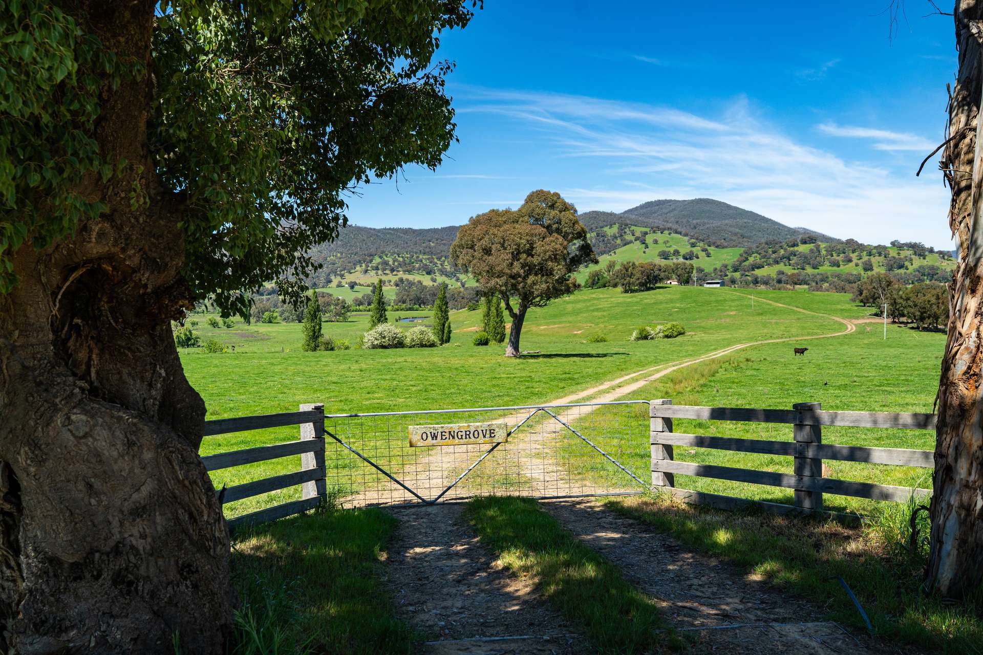 1159 River Road, Ournie Auction by Farmbuy.com - image 29