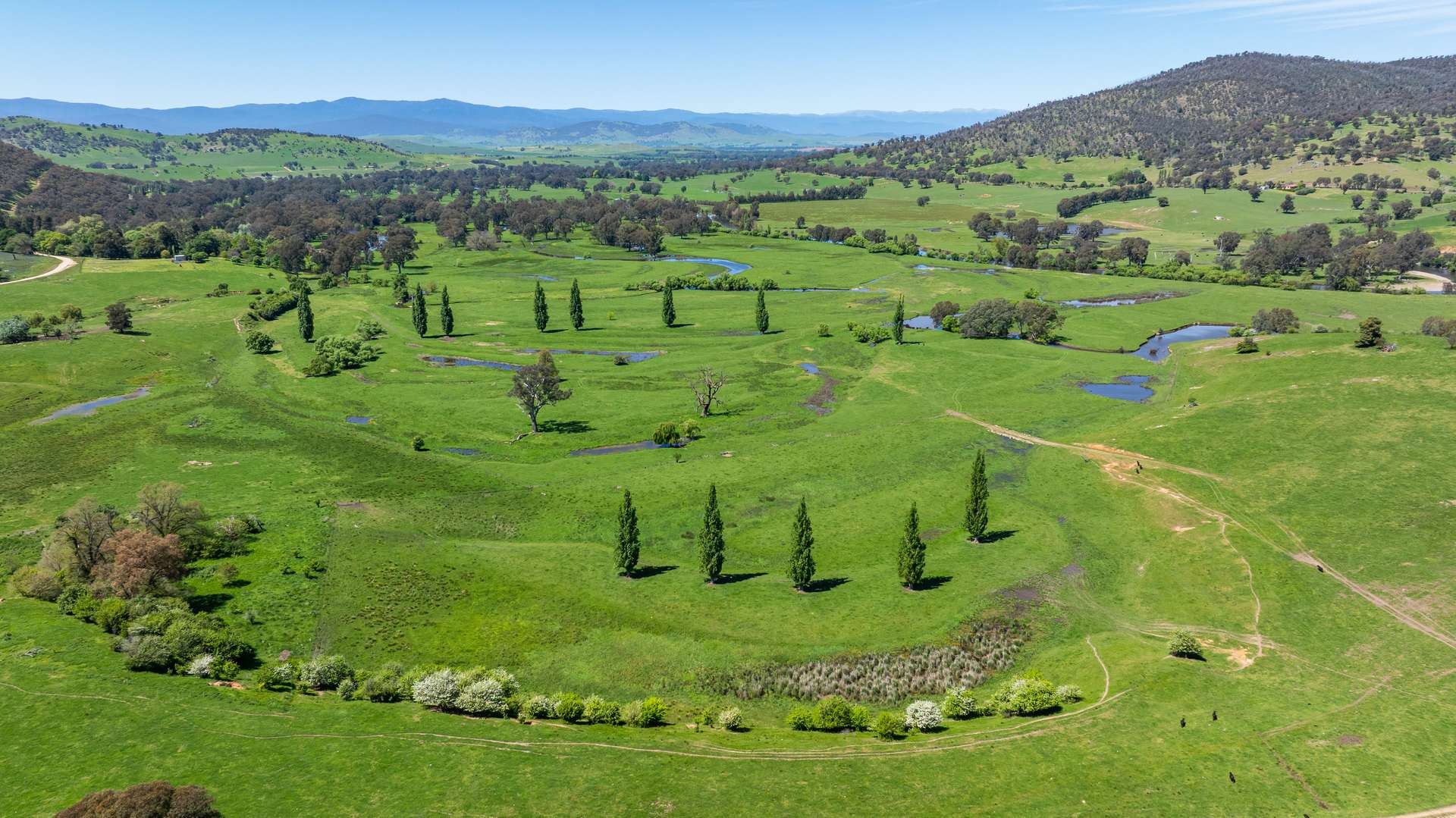 1159 River Road, Ournie Auction by Farmbuy.com - image 9