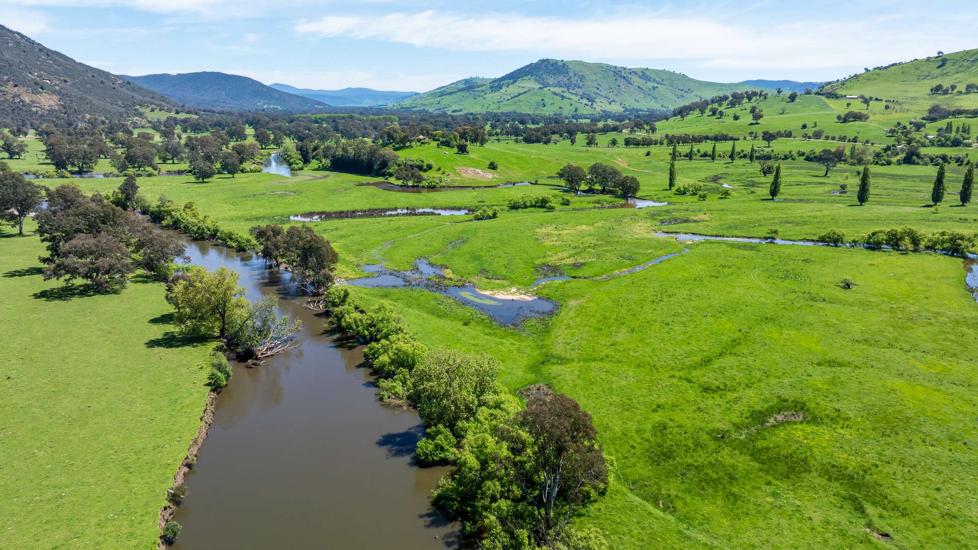 1159 River Road, Ournie Auction by Farmbuy.com - image 15