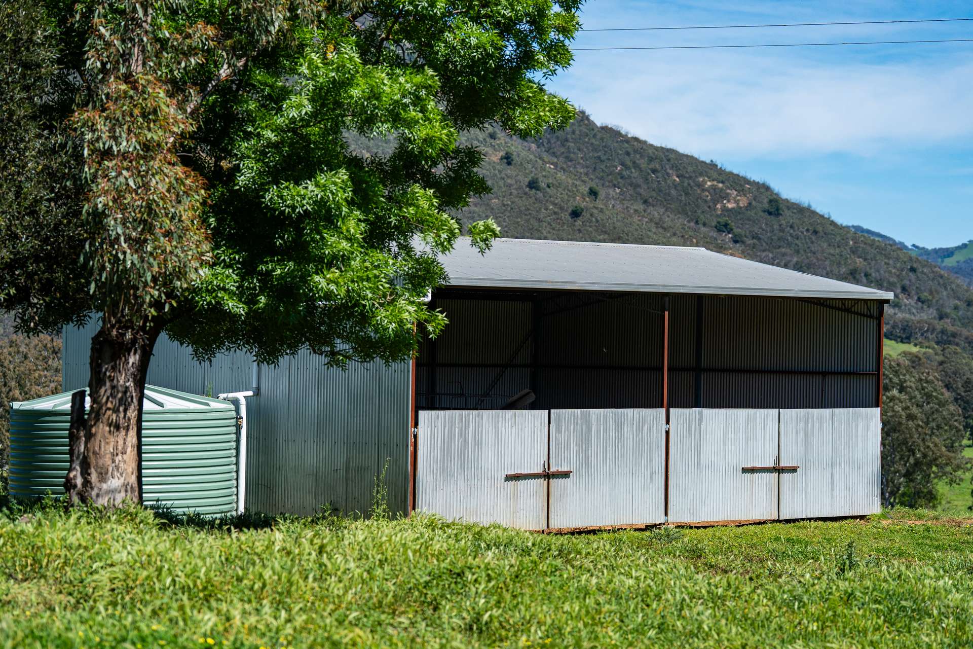 1159 River Road, Ournie Auction by Farmbuy.com - image 31