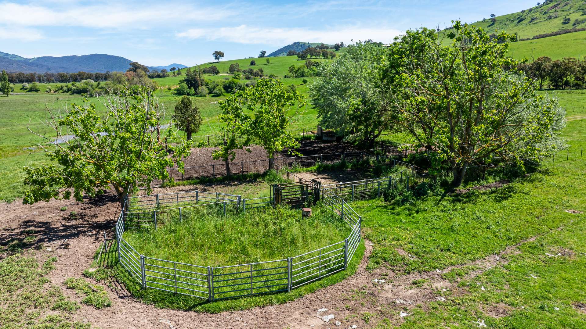 1159 River Road, Ournie Auction by Farmbuy.com - image 10