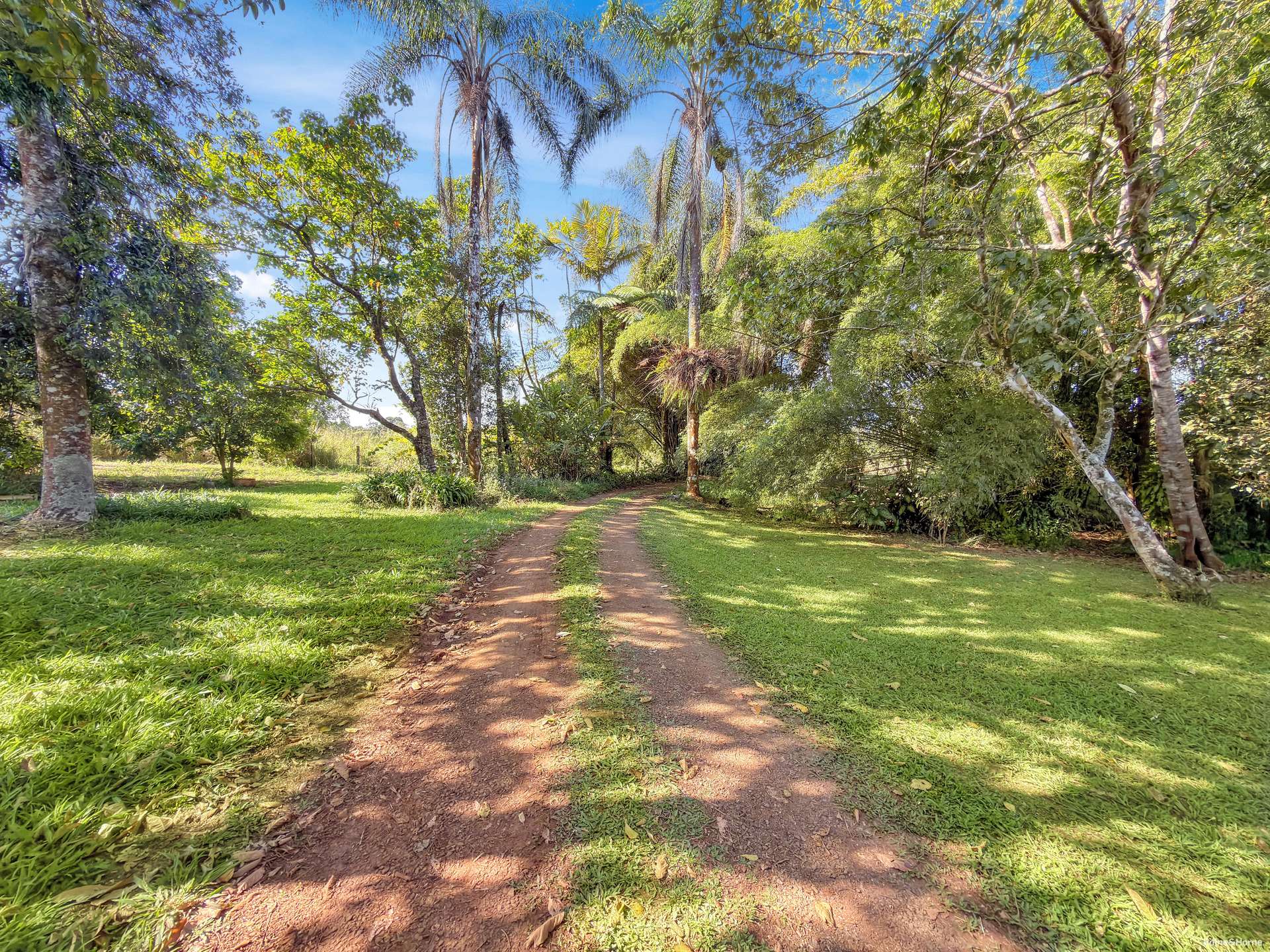 1189 Theresa Creek Road, Ellinjaa For Sale by Farmbuy.com - image 16