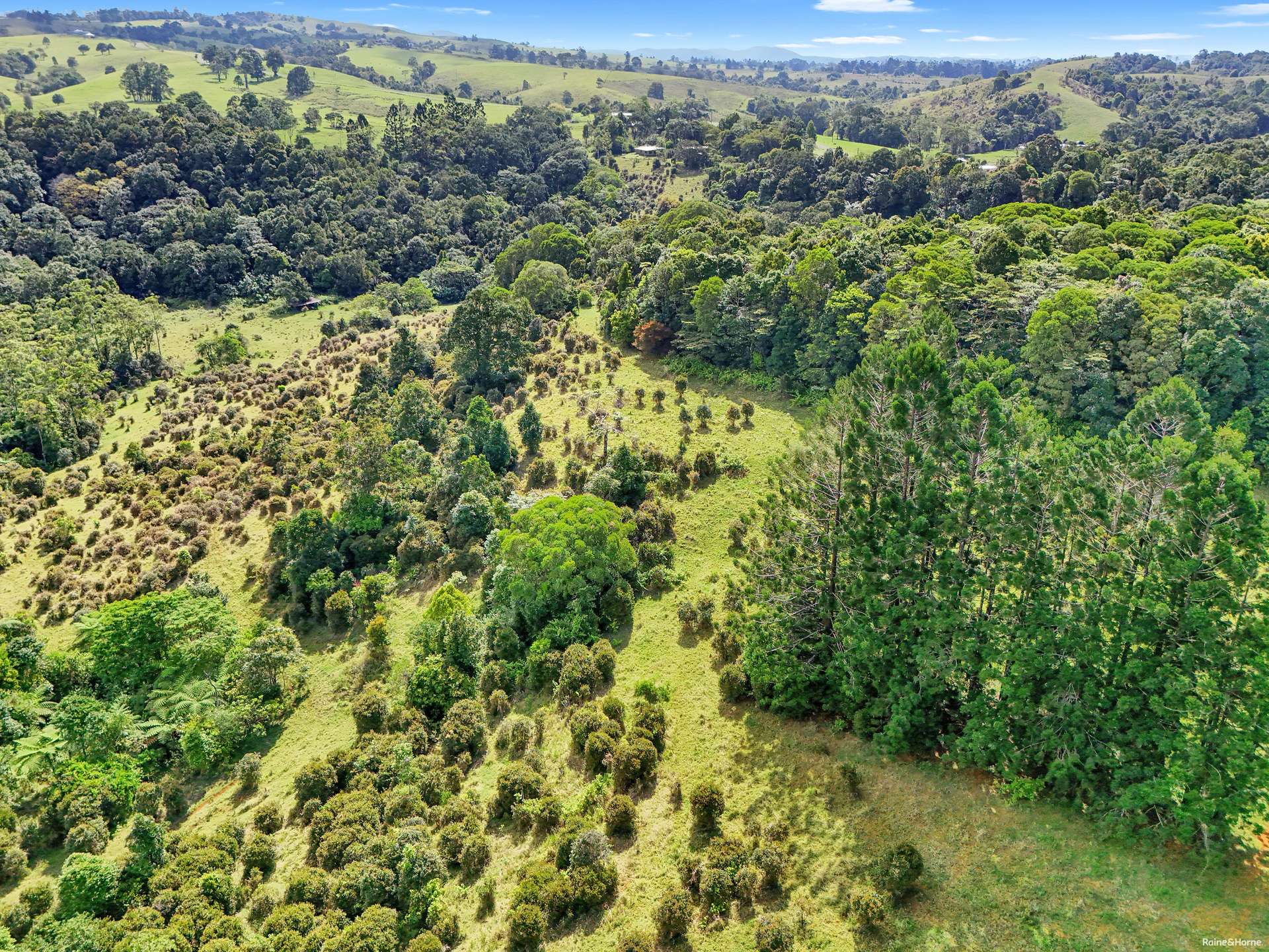1189 Theresa Creek Road, Ellinjaa For Sale by Farmbuy.com - image 15