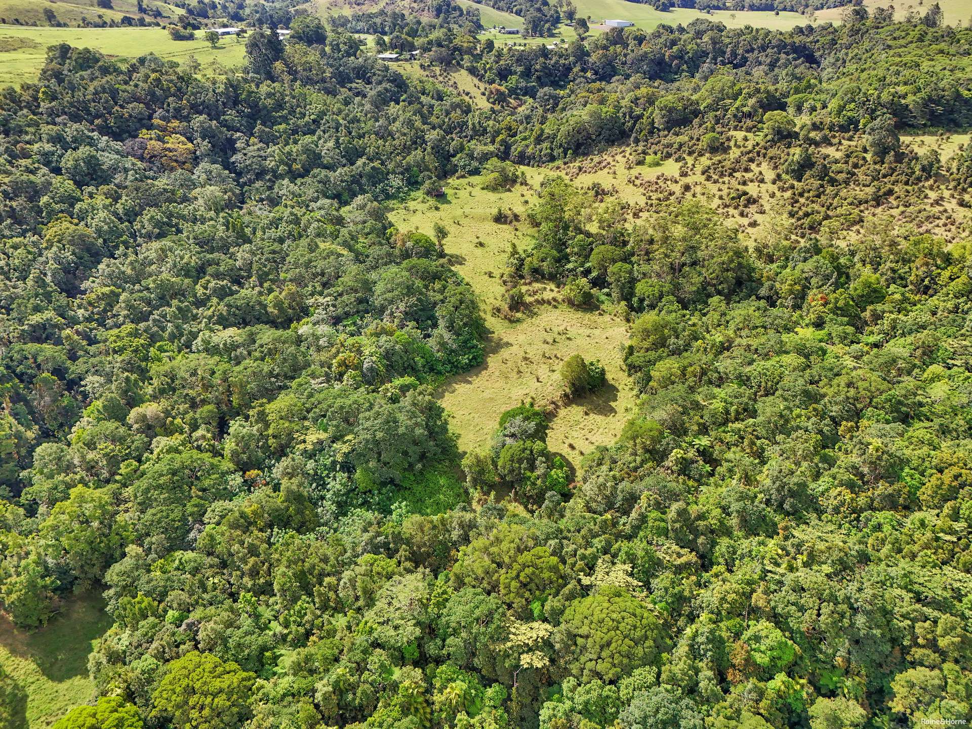 1189 Theresa Creek Road, Ellinjaa For Sale by Farmbuy.com - image 14
