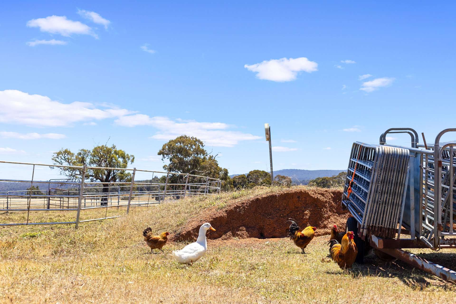 388 Harders Chitty Road, Toodyay For Sale by Farmbuy.com - image 25