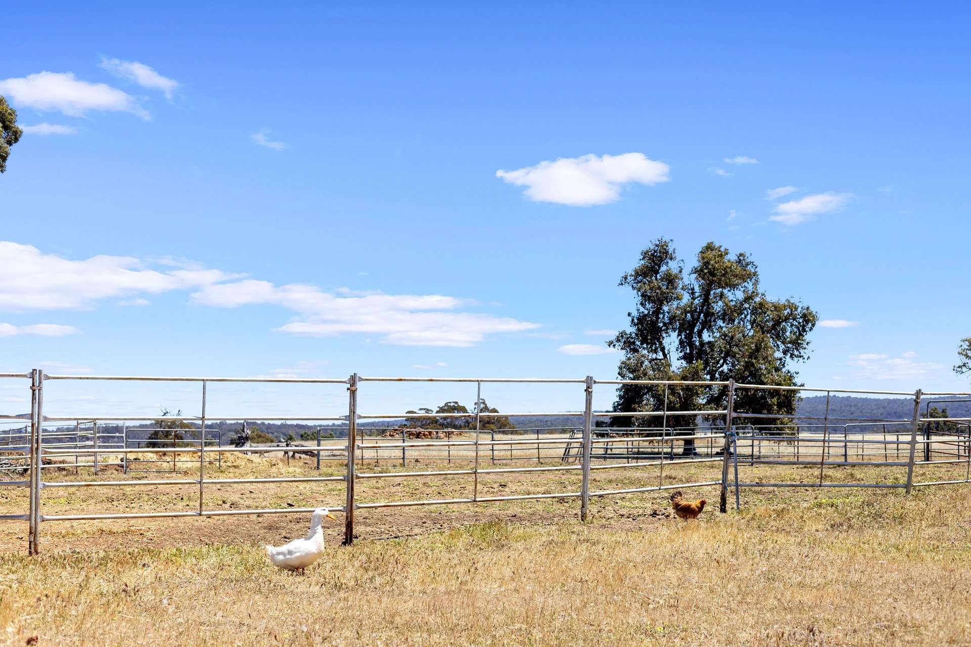 388 Harders Chitty Road, Toodyay For Sale by Farmbuy.com - image 27