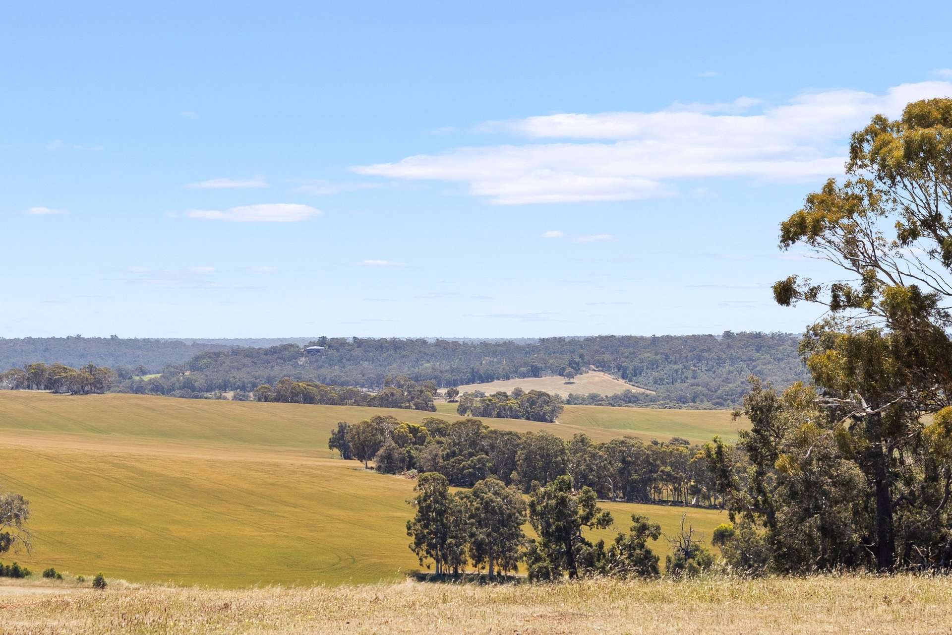 388 Harders Chitty Road, Toodyay For Sale by Farmbuy.com - image 1