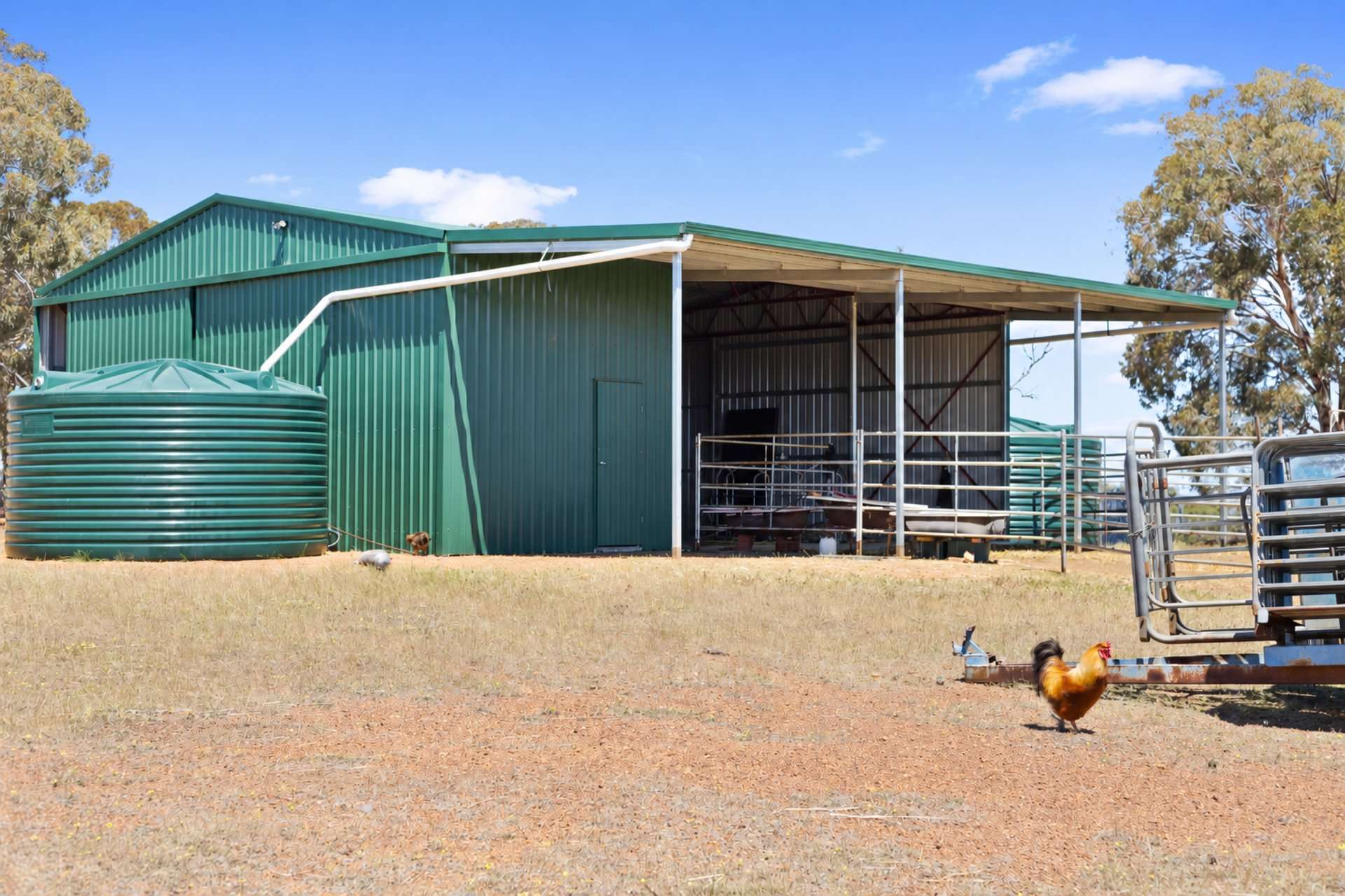 388 Harders Chitty Road, Toodyay For Sale by Farmbuy.com - image 26