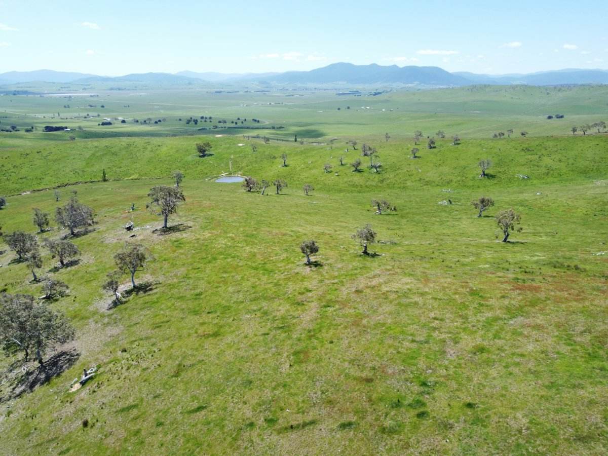 212 Racecourse Road, Hinnomunjie For Sale by Farmbuy.com - image 15