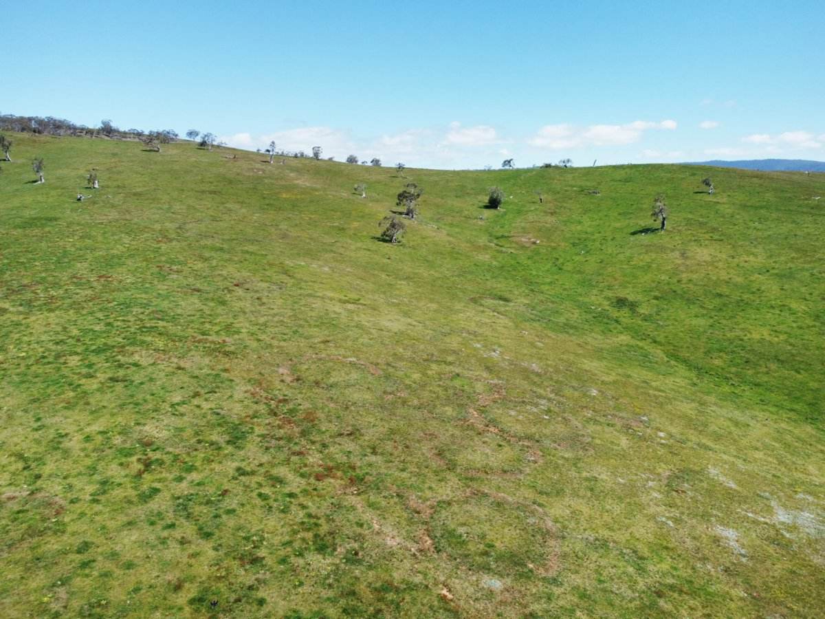 212 Racecourse Road, Hinnomunjie For Sale by Farmbuy.com - image 20
