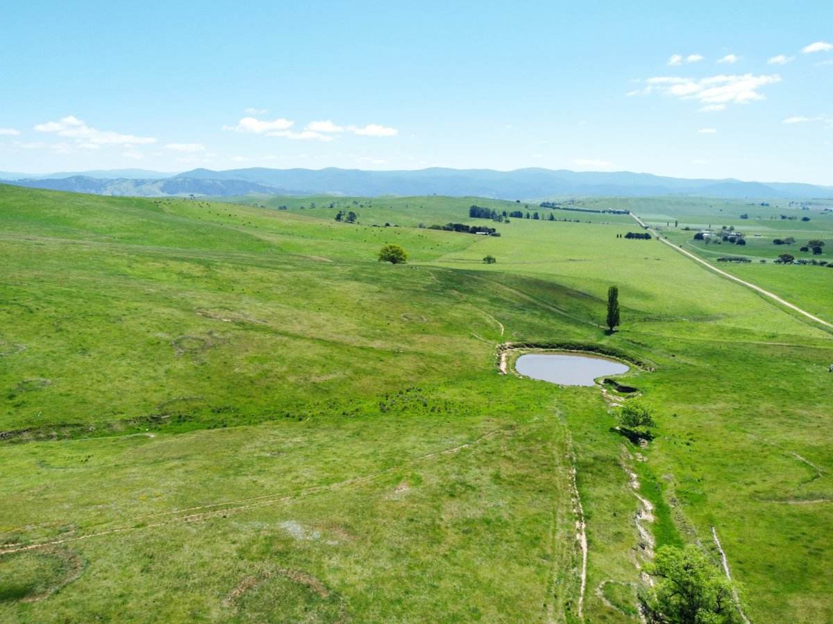 212 Racecourse Road, Hinnomunjie For Sale by Farmbuy.com - image 8
