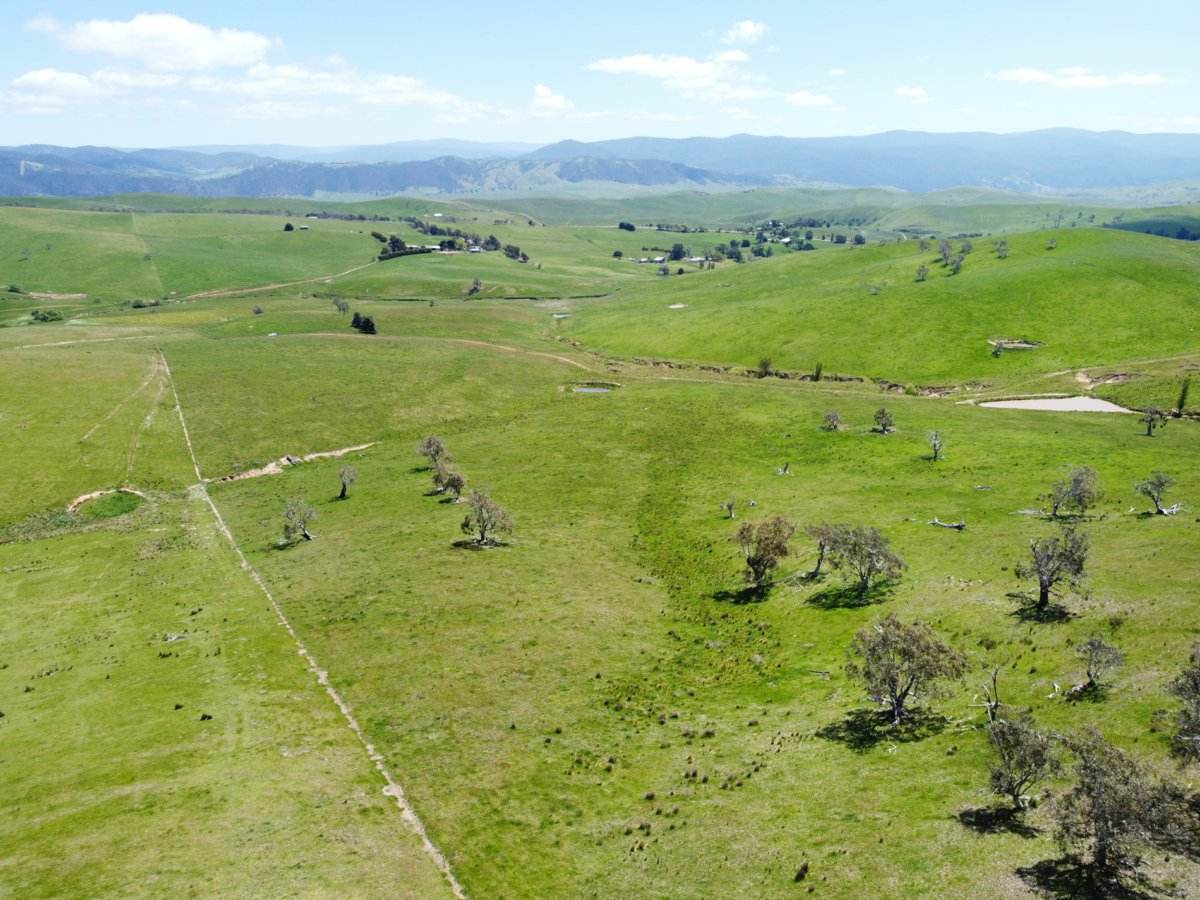 212 Racecourse Road, Hinnomunjie For Sale by Farmbuy.com - image 16