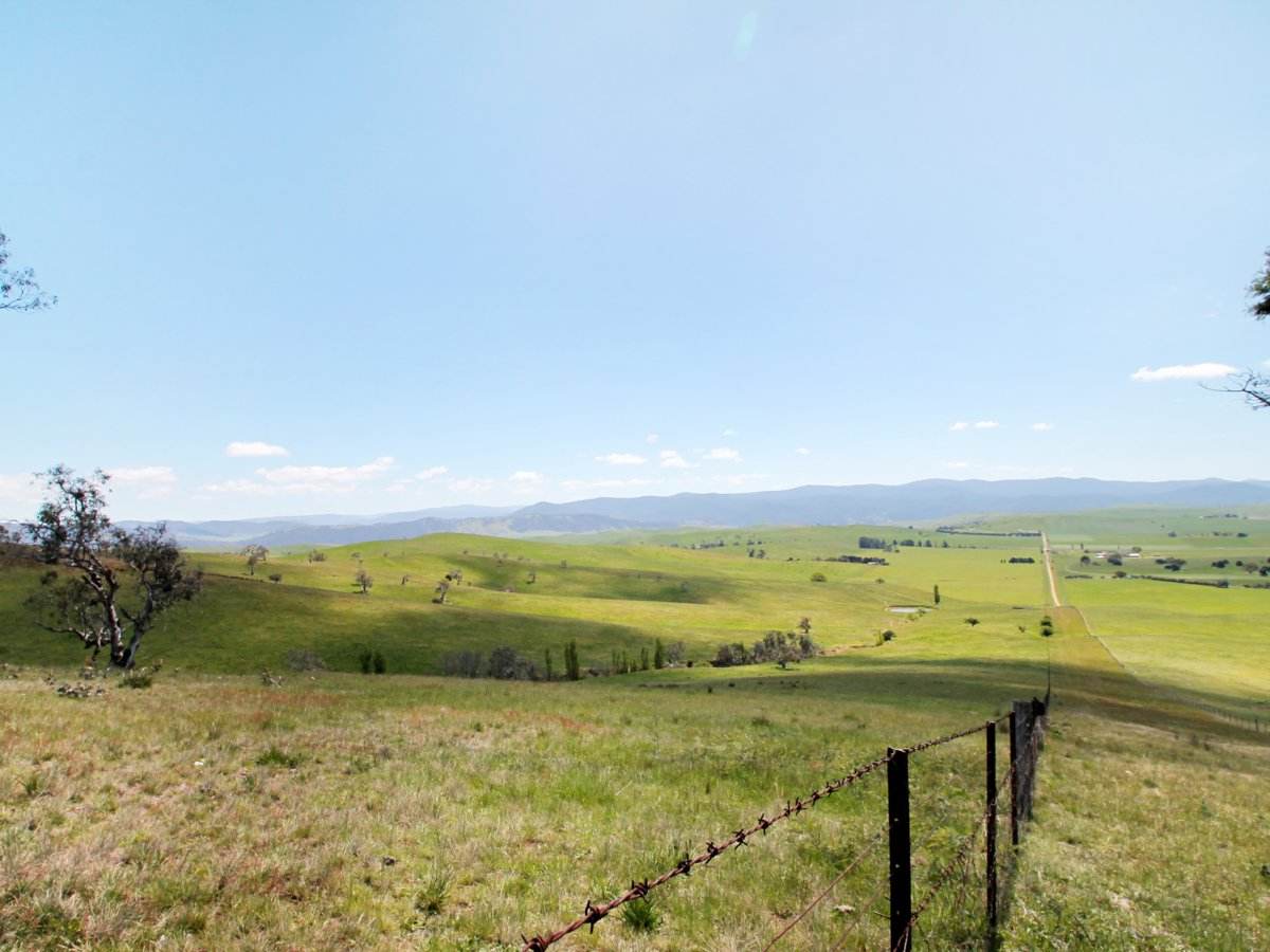 212 Racecourse Road, Hinnomunjie For Sale by Farmbuy.com - image 2