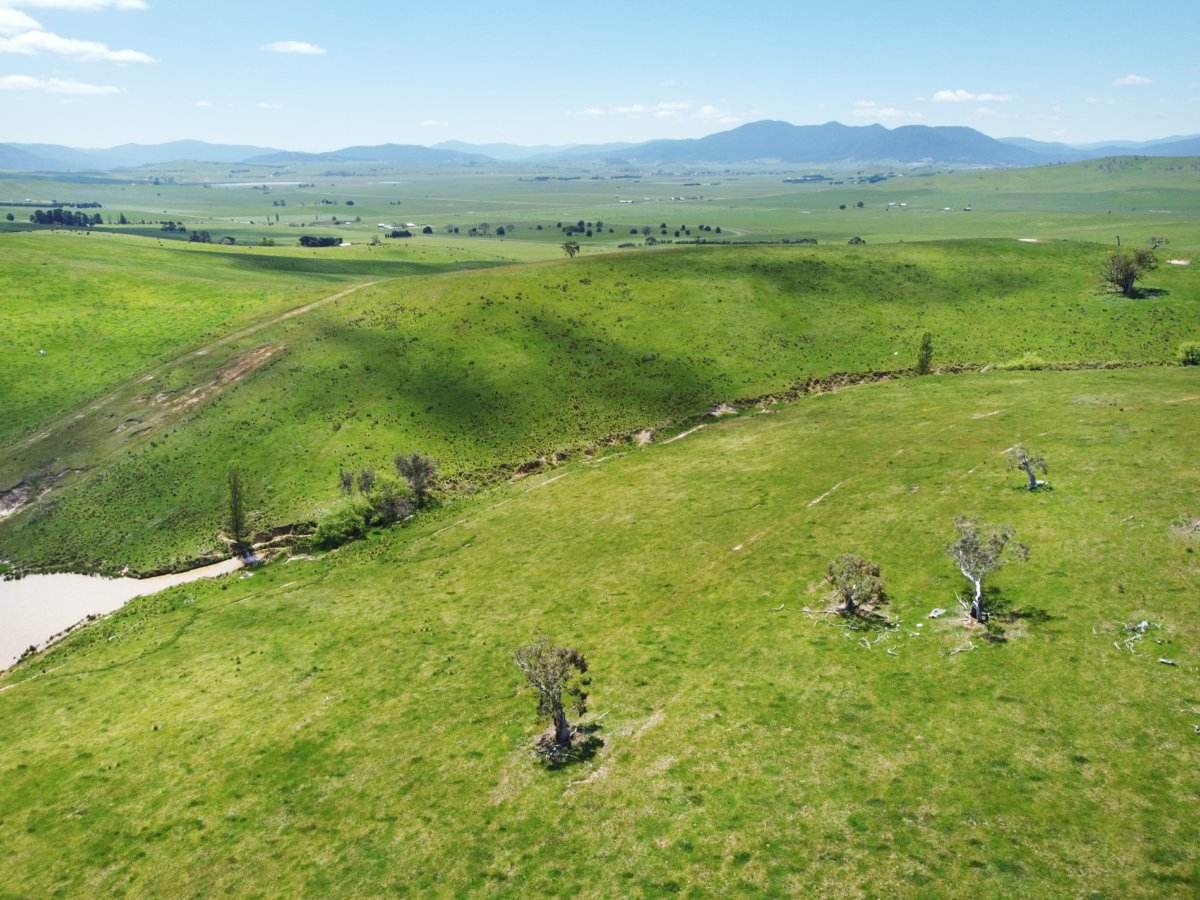 212 Racecourse Road, Hinnomunjie For Sale by Farmbuy.com - image 13