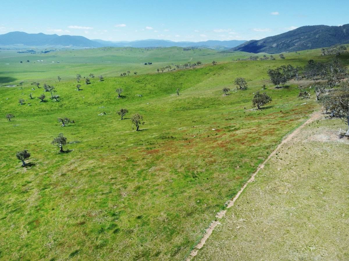 212 Racecourse Road, Hinnomunjie For Sale by Farmbuy.com - image 14