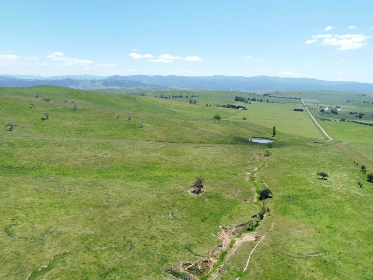 212 Racecourse Road, Hinnomunjie For Sale by Farmbuy.com - image 19