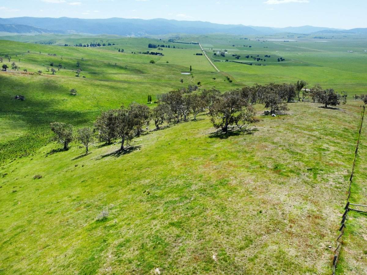 212 Racecourse Road, Hinnomunjie For Sale by Farmbuy.com - image 3