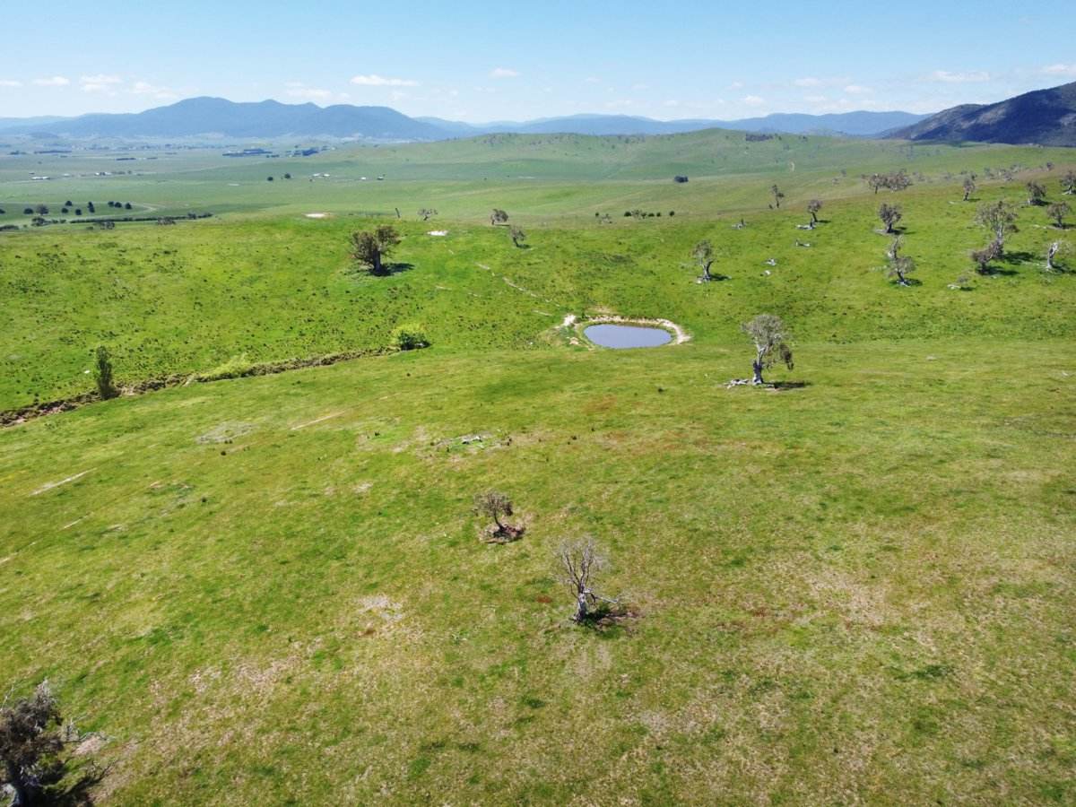 212 Racecourse Road, Hinnomunjie For Sale by Farmbuy.com - image 11