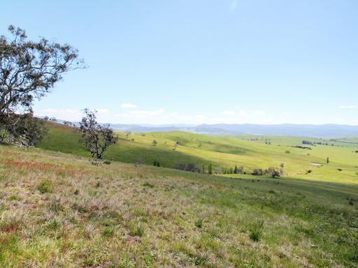 Farm For Sale - VIC - Hinnomunjie - 3898 - SUBSTANTIAL GRAZING LAND IN HINNOMUNJIE 