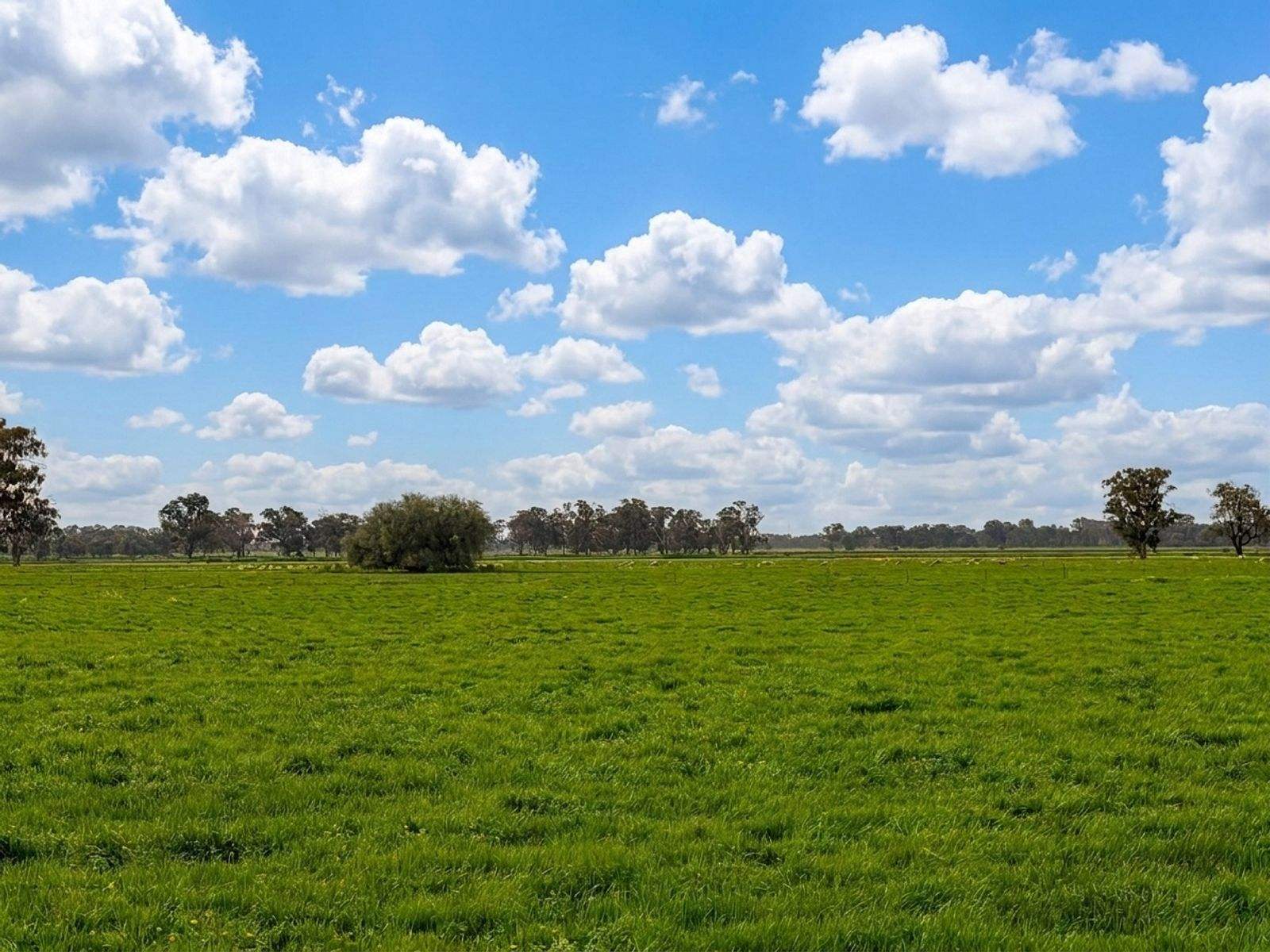 709 Allerts Road, Katunga For Sale by Farmbuy.com - image 8