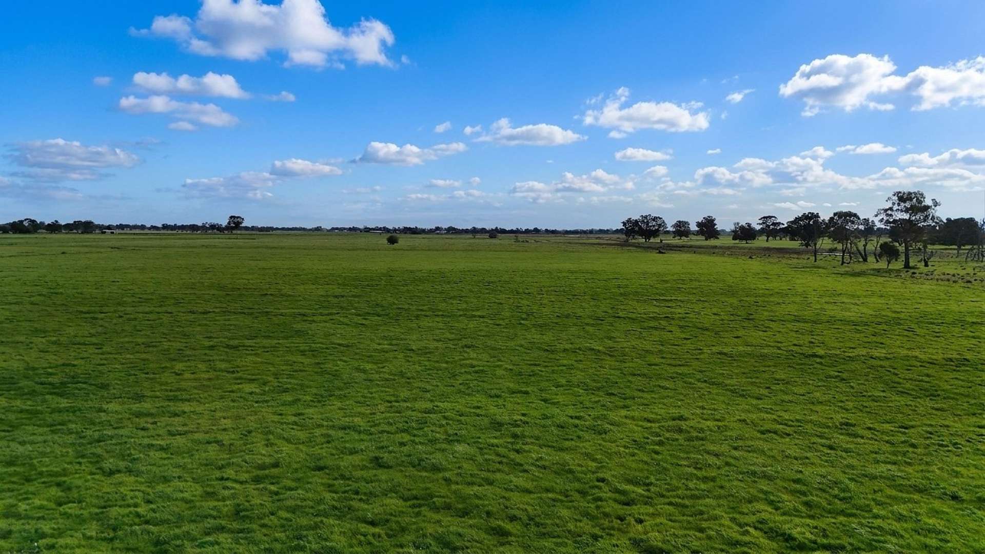 709 Allerts Road, Katunga For Sale by Farmbuy.com - image 9