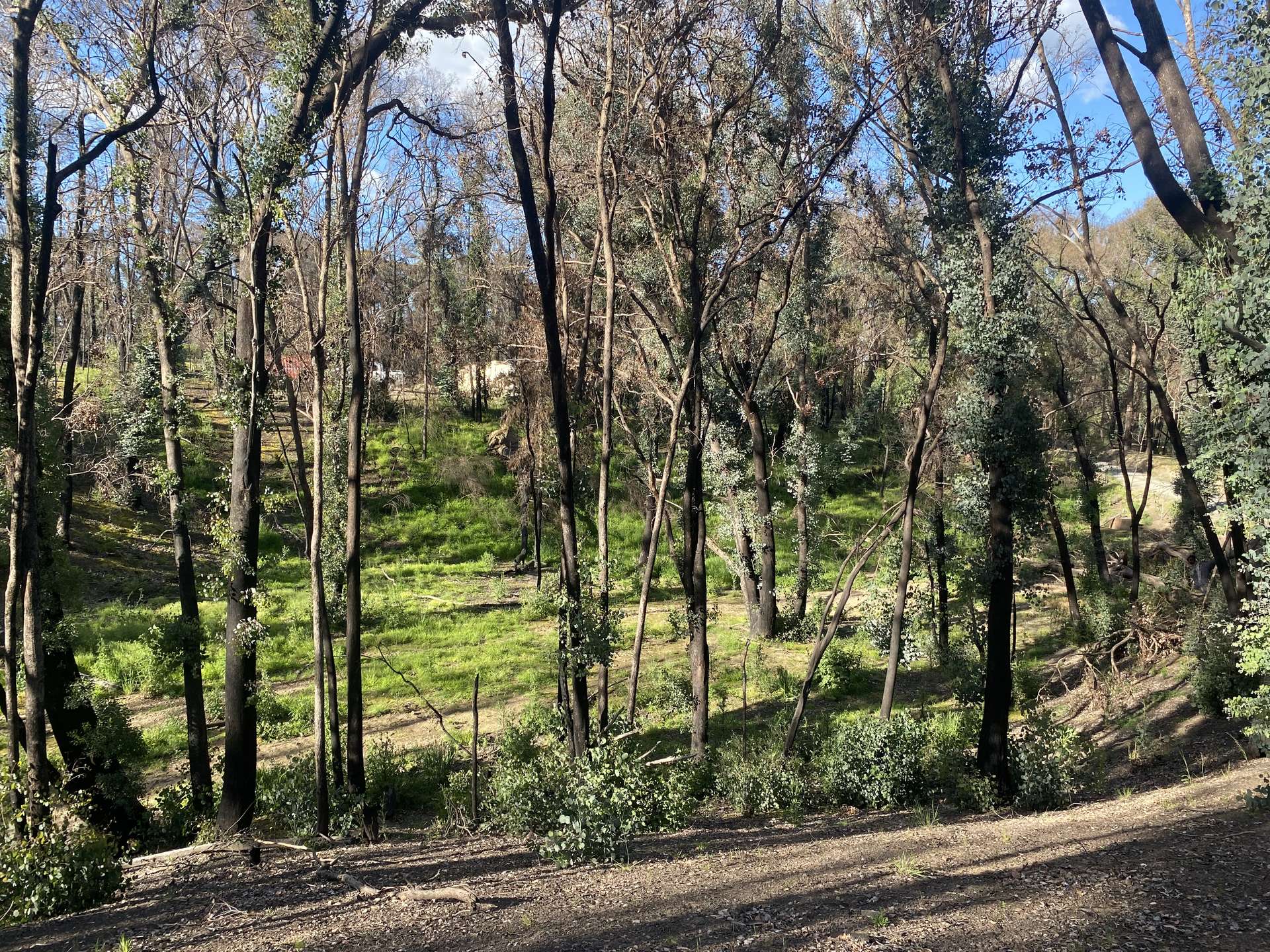 263 Old Yarck Road, Yarck For Sale by Farmbuy.com - image 7