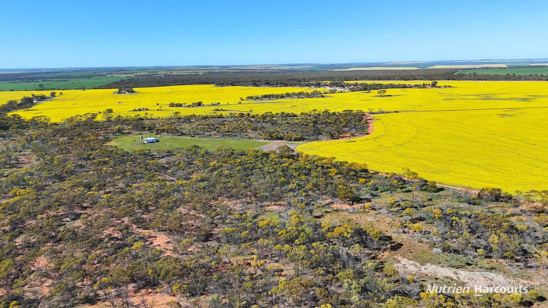 "Bellevue" Lot 14010 Clement Road, Talgomine For Sale by Farmbuy.com - image 8
