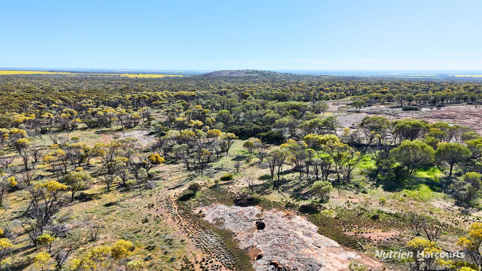 "Bellevue" Lot 14010 Clement Road, Talgomine For Sale by Farmbuy.com - image 12