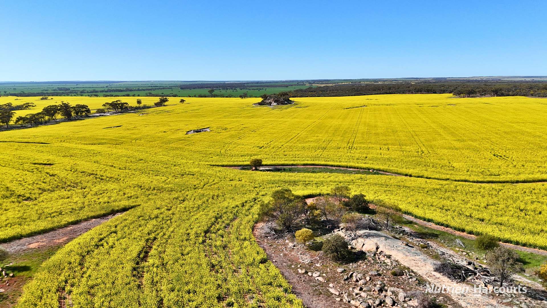 "Bellevue" Lot 14010 Clement Road, Talgomine For Sale by Farmbuy.com - image 13