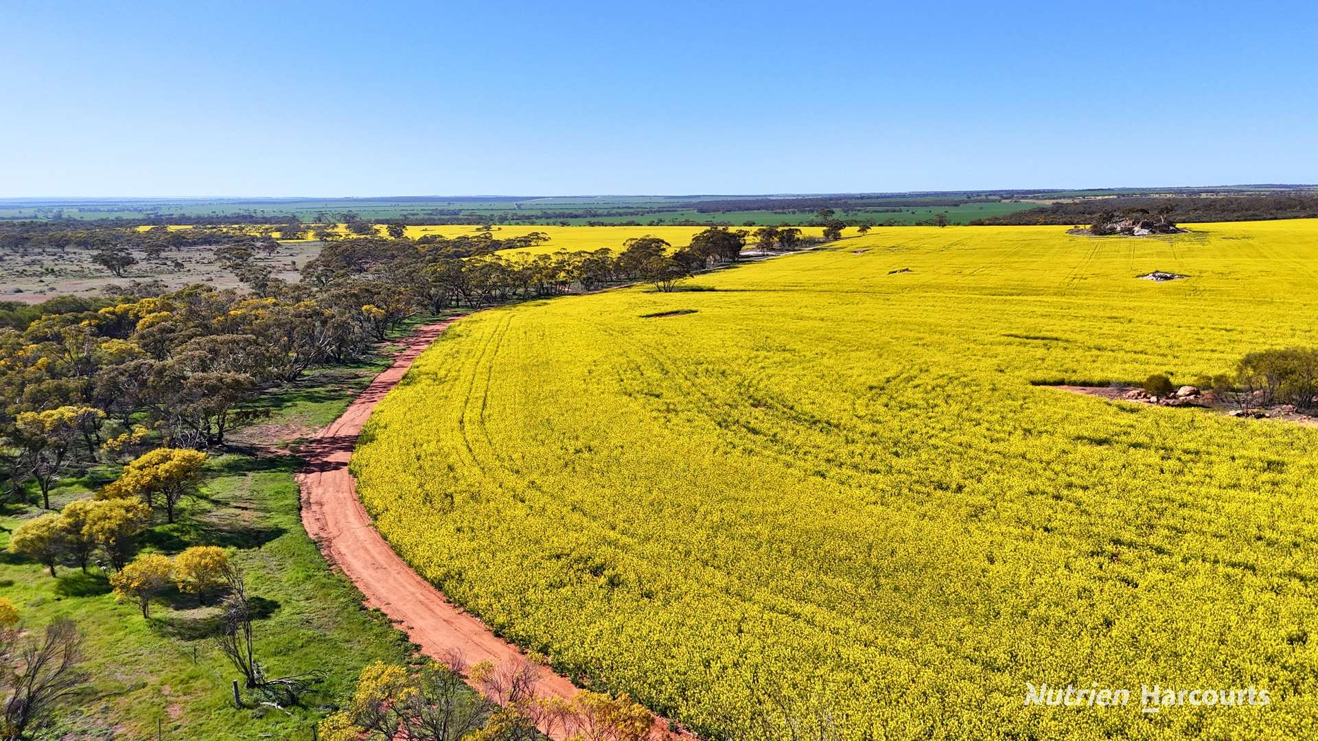 "Bellevue" Lot 14010 Clement Road, Talgomine For Sale by Farmbuy.com - image 14