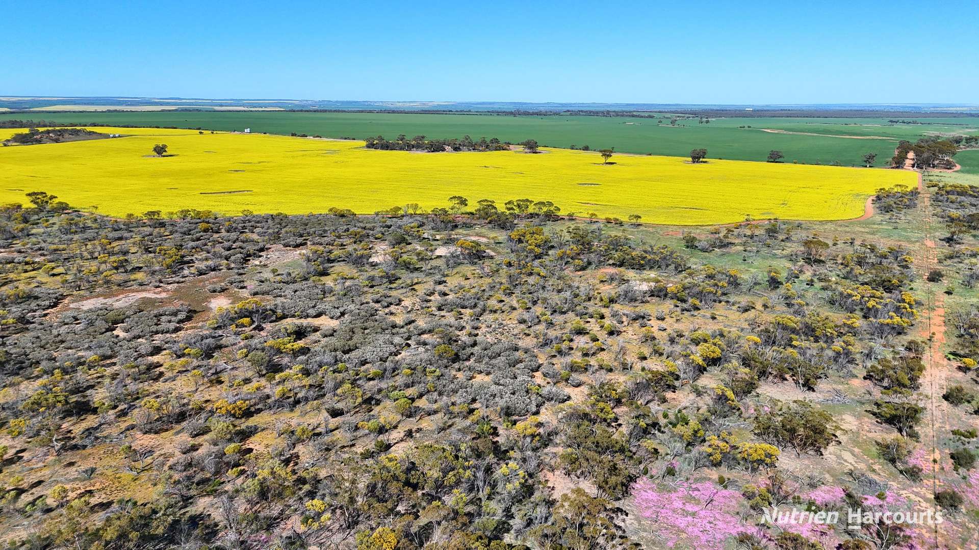 "Bellevue" Lot 14010 Clement Road, Talgomine For Sale by Farmbuy.com - image 7